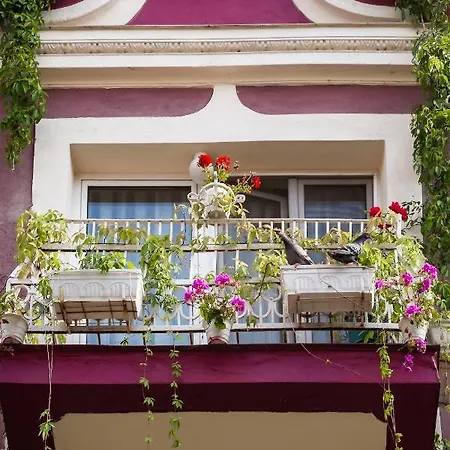 Guest house Art